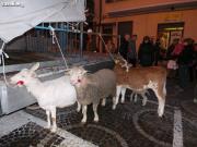 Anteprima - Clicca per ingrandire