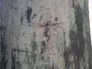 Anteprima - Clicca per ingrandire