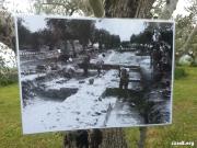 Anteprima - Clicca per ingrandire