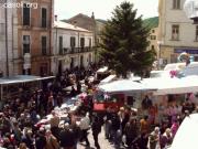 Anteprima - Clicca per ingrandire