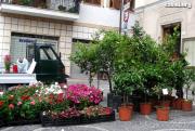 Anteprima - Clicca per ingrandire