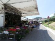Anteprima - Clicca per ingrandire
