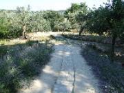 Anteprima - Clicca per ingrandire