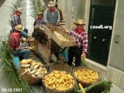 Anteprima - Clicca per ingrandire