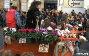 Anteprima - Clicca per ingrandire