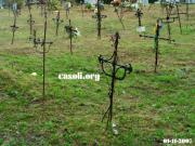 Anteprima - Clicca per ingrandire