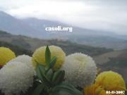 Anteprima - Clicca per ingrandire